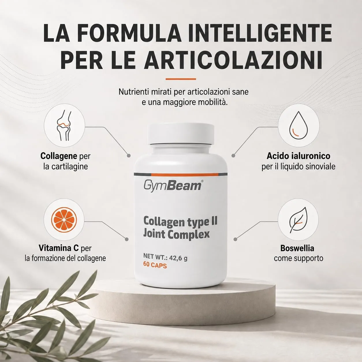 GymBeam Collagene Acido Ialuronico 60 cps tipo II