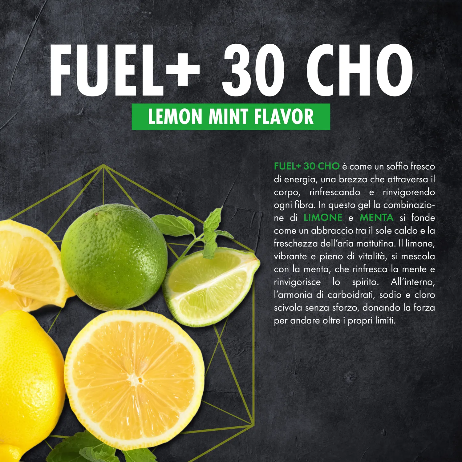 4 Plus Nutrition Fuel+ 30 CHO gel 50 ml Lemon Mint energetico
