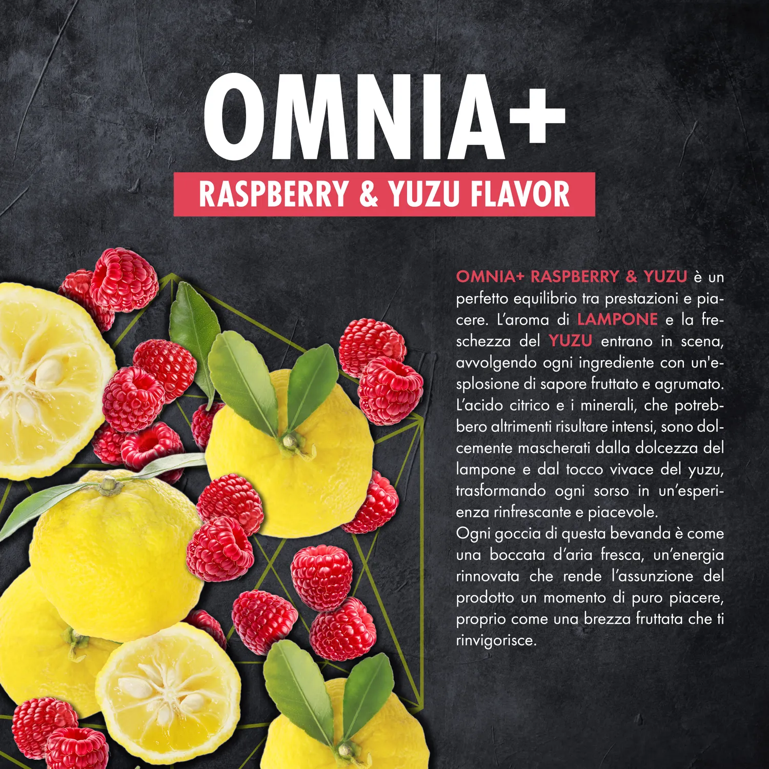 4 Plus Nutrition Omnia+ integratore 400 g Citrus Fruits con creatina