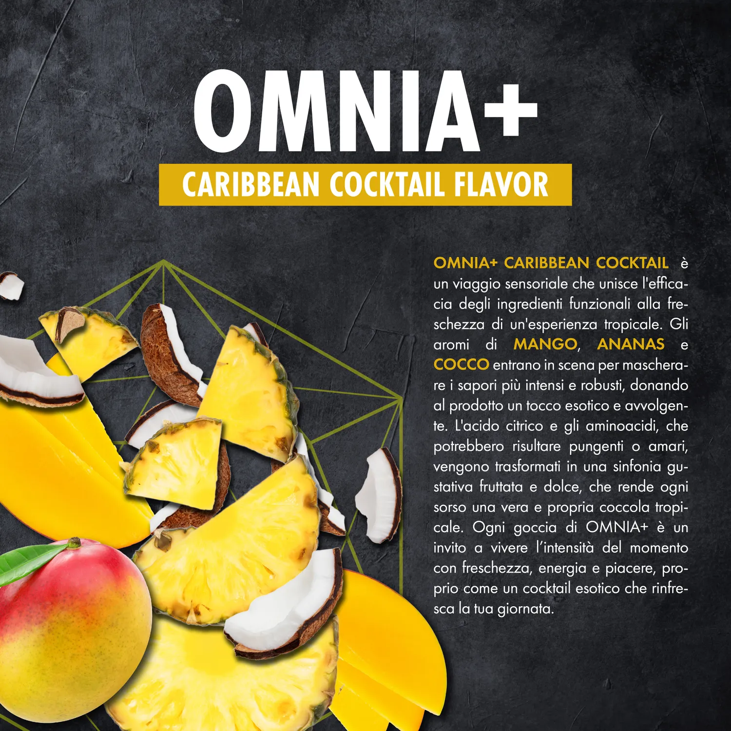 4 Plus Nutrition Omnia+ integratore 400 g Citrus Fruits con creatina