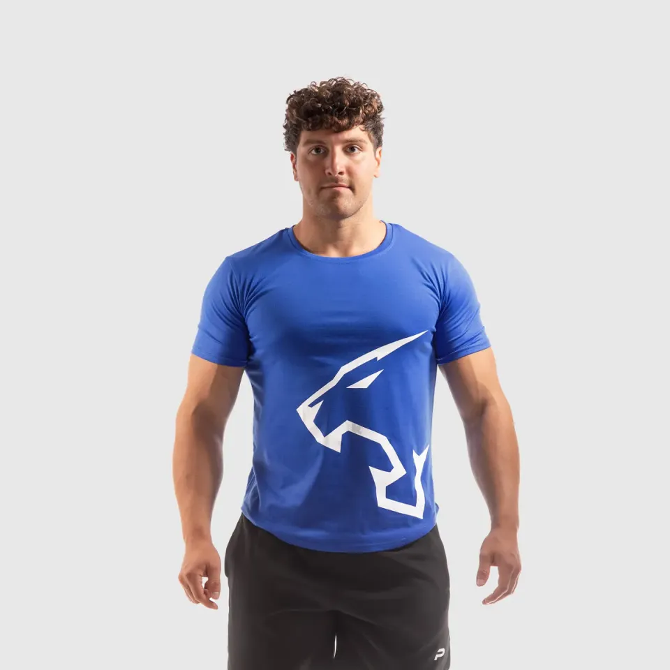 Push More T-Shirt maglietta palestra uomo nera