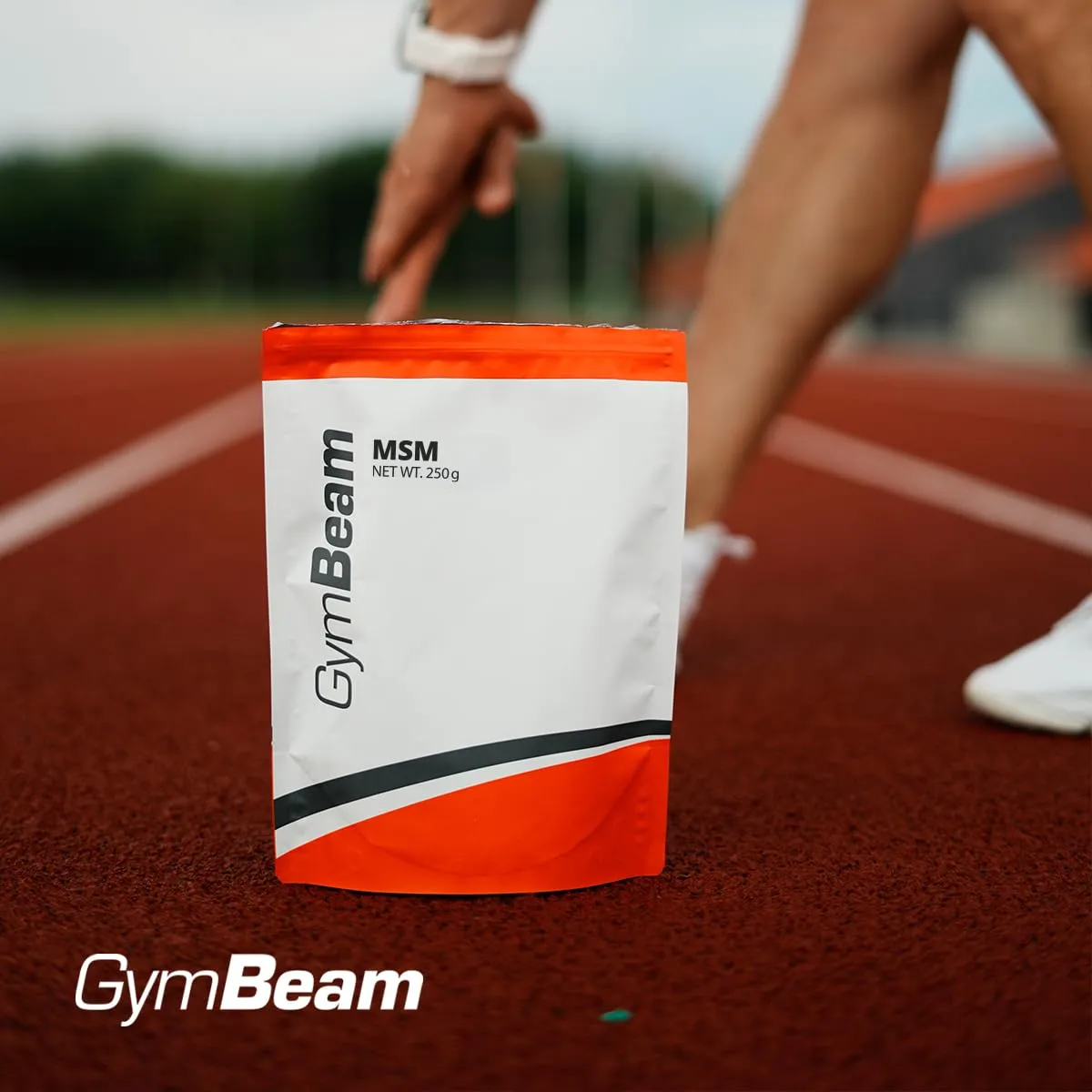 GymBeam MSM integratore articolare polvere 500 g con zolfo