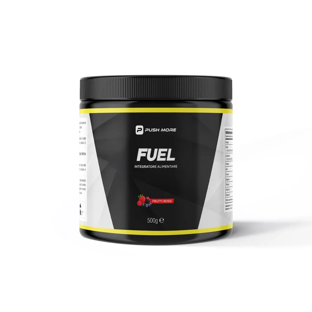 Push More RIV Fuel elettroliti 500g limone