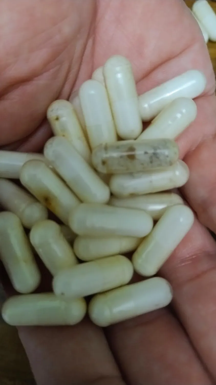 GymBeam GABA 1000 mg capsule 120 cps rilassamento